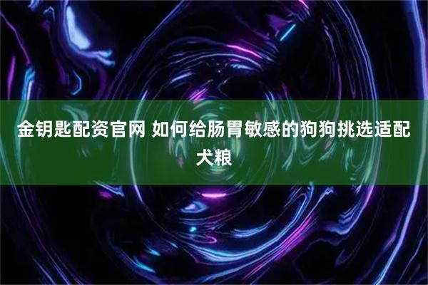 金钥匙配资官网 如何给肠胃敏感的狗狗挑选适配犬粮